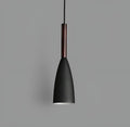 Modern matte black aluminum conical pendant light fixture with dark wood neck accent
